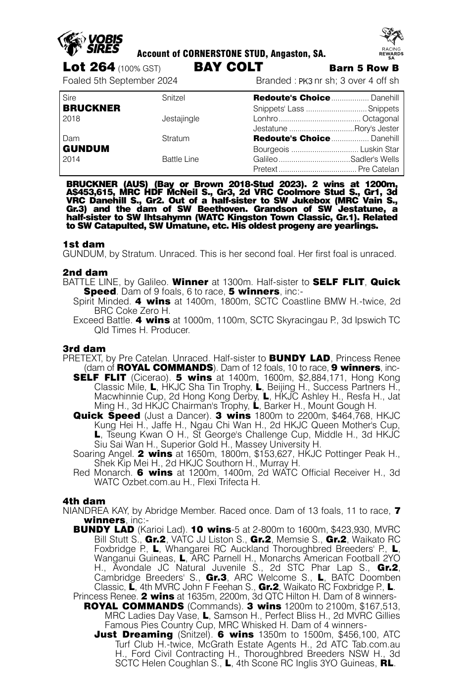 Pedigree - Lot 264