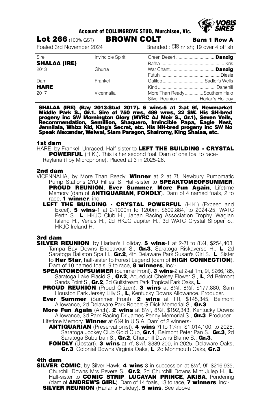 Pedigree - Lot 266