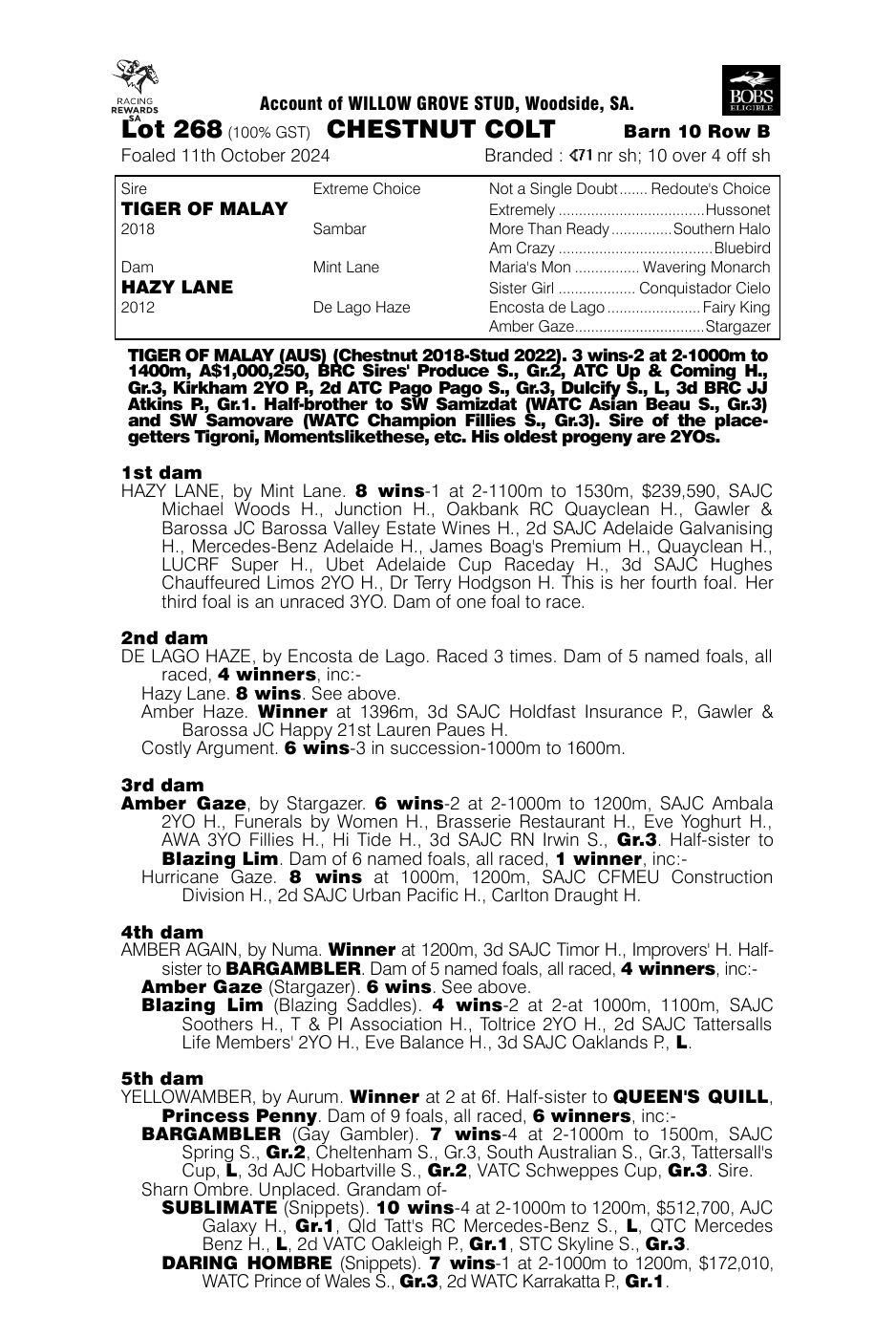 Pedigree - Lot 268
