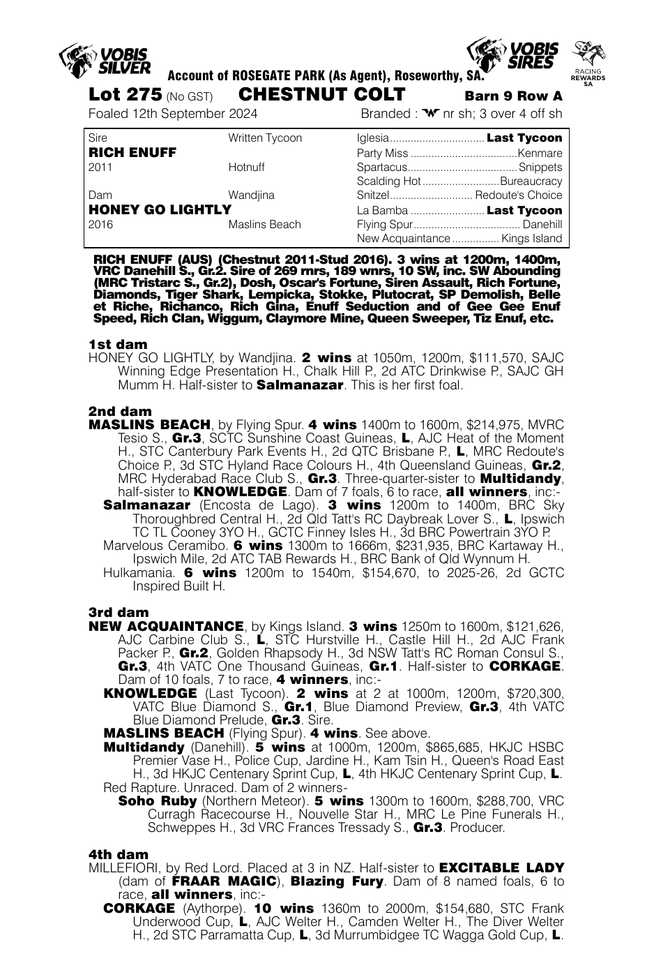 Pedigree - Lot 275