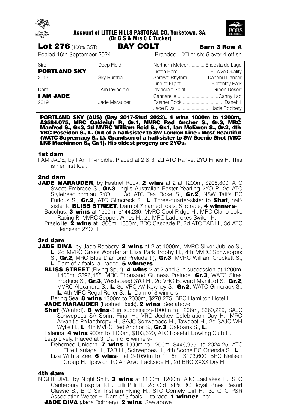 Pedigree - Lot 276