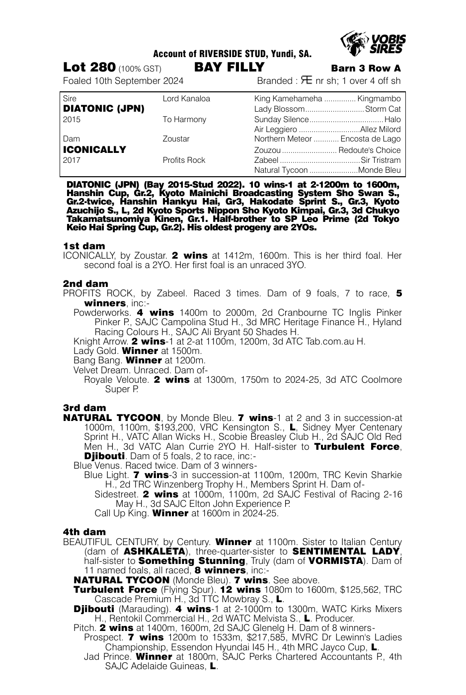 Pedigree - Lot 280