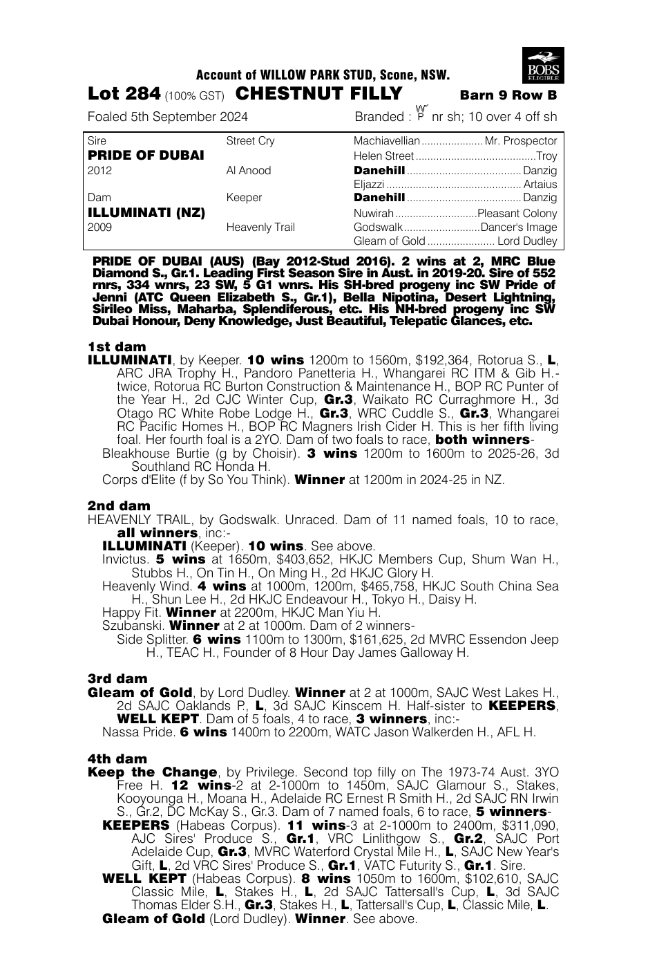Pedigree - Lot 284