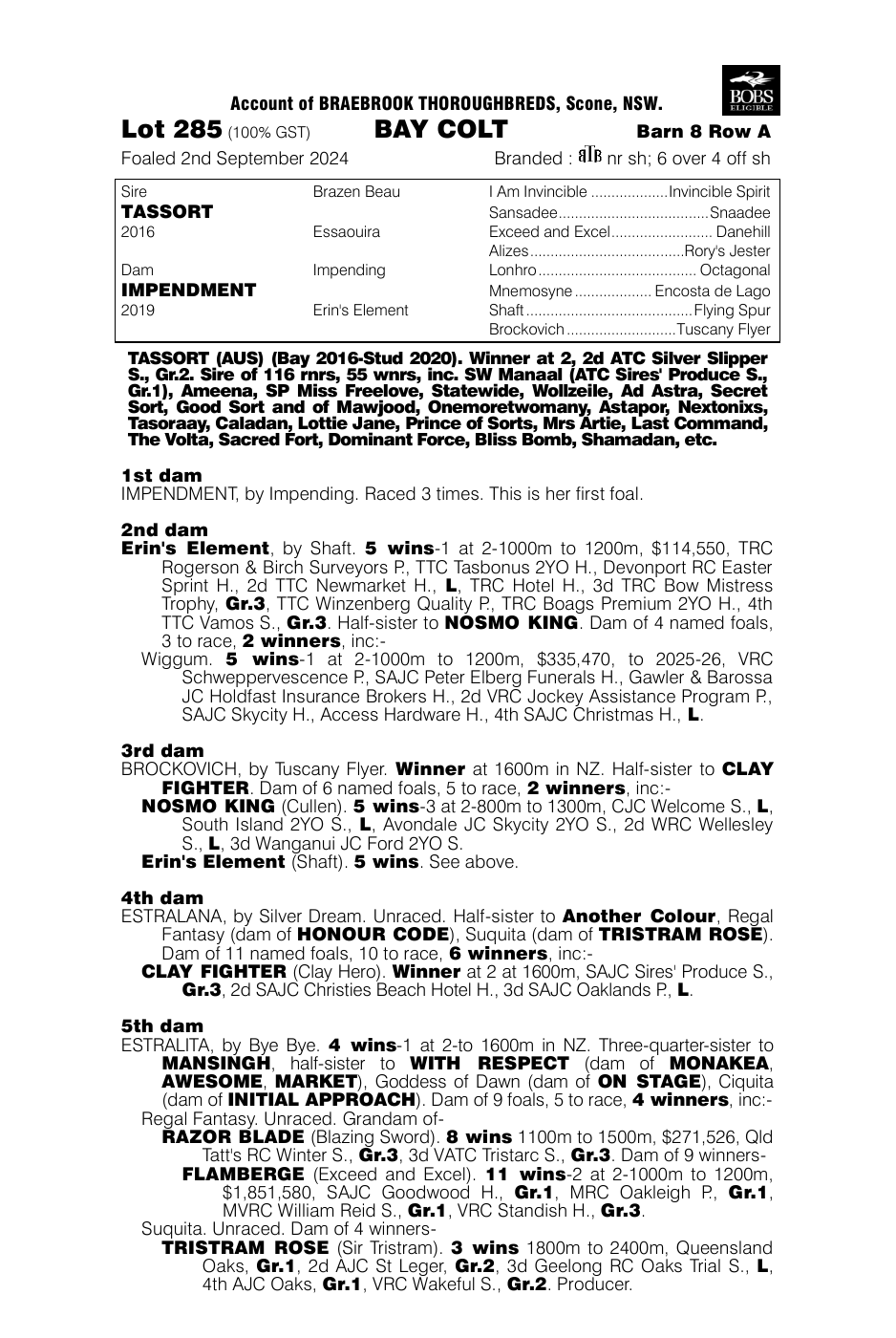 Pedigree - Lot 285