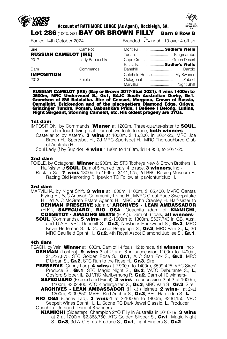 Pedigree - Lot 286