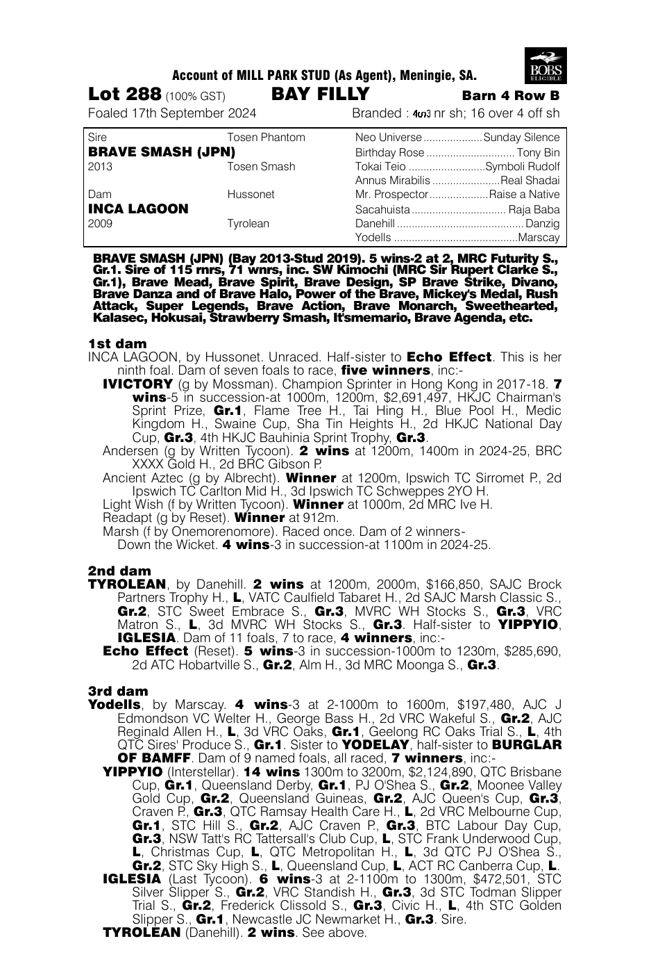 Pedigree - Lot 288