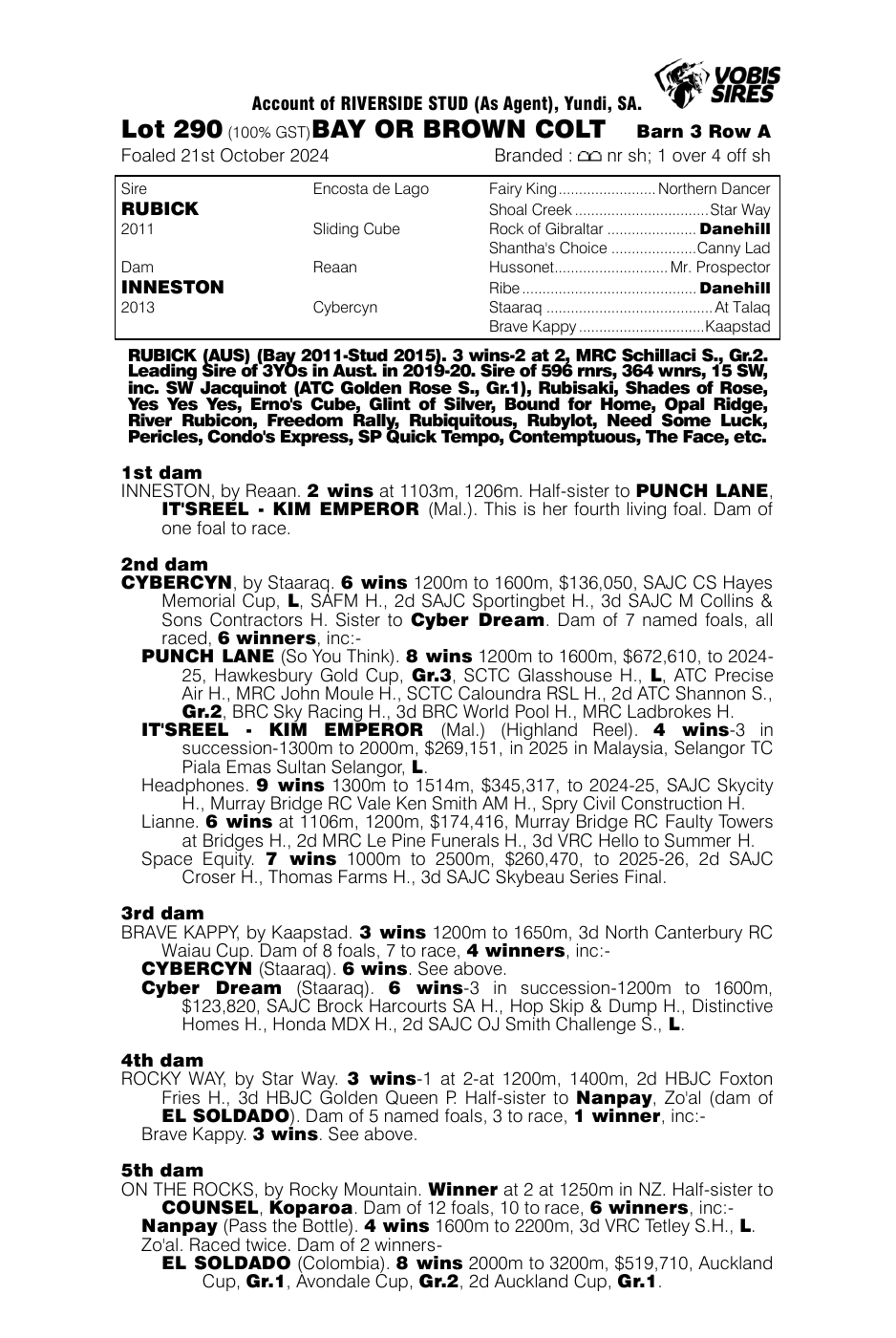Pedigree - Lot 290