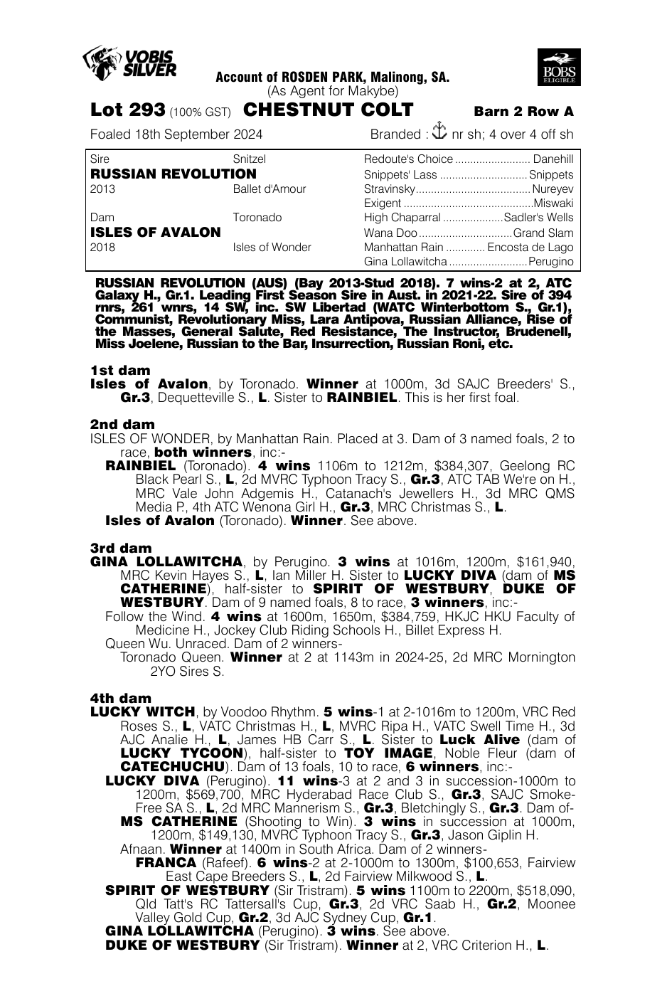 Pedigree - Lot 293