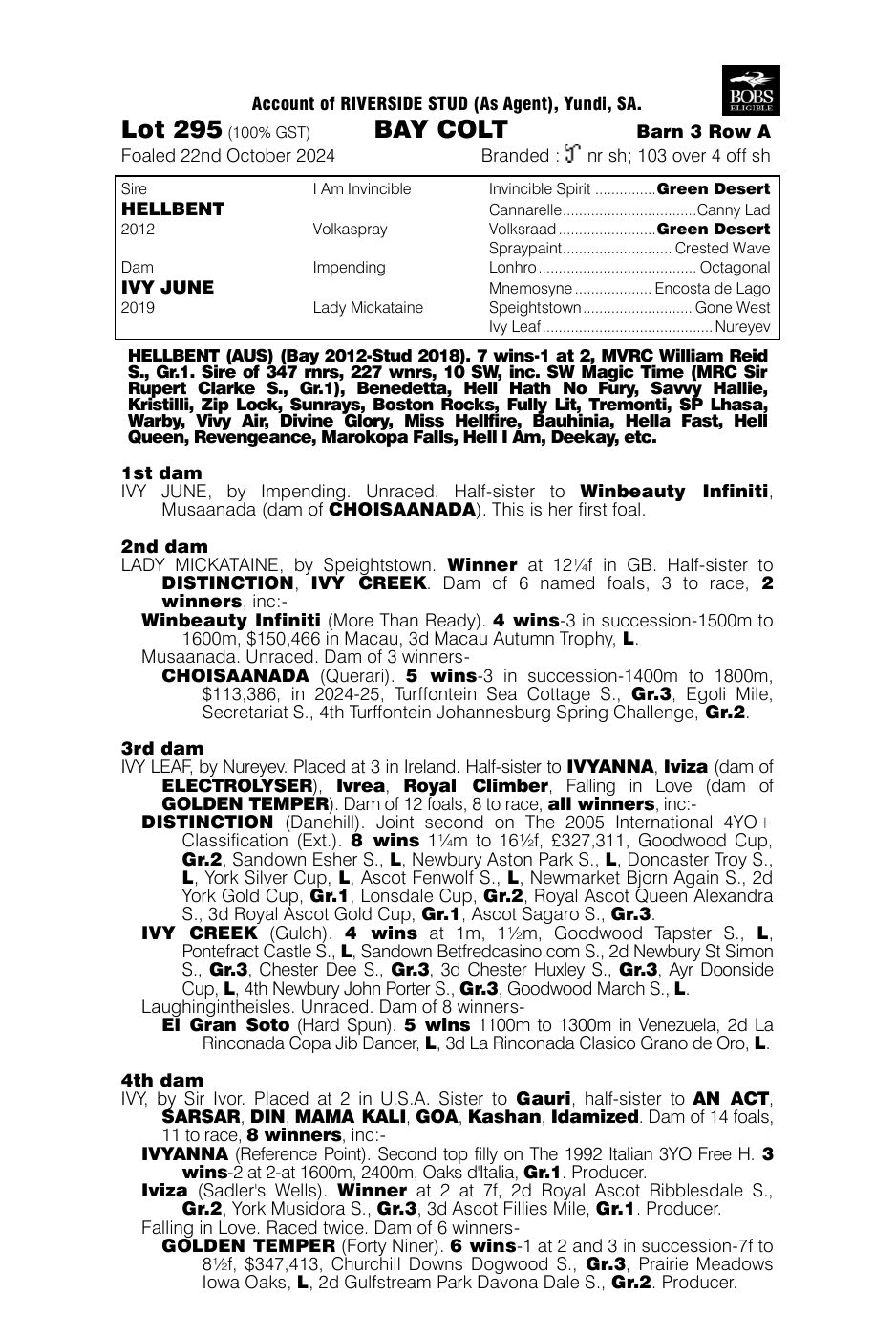 Pedigree - Lot 295
