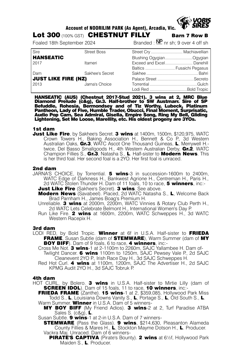Pedigree - Lot 300
