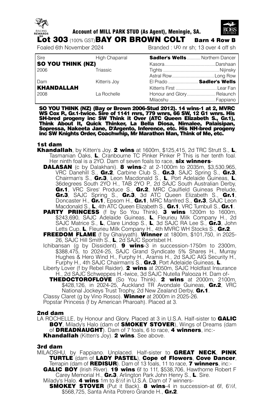 Pedigree - Lot 303