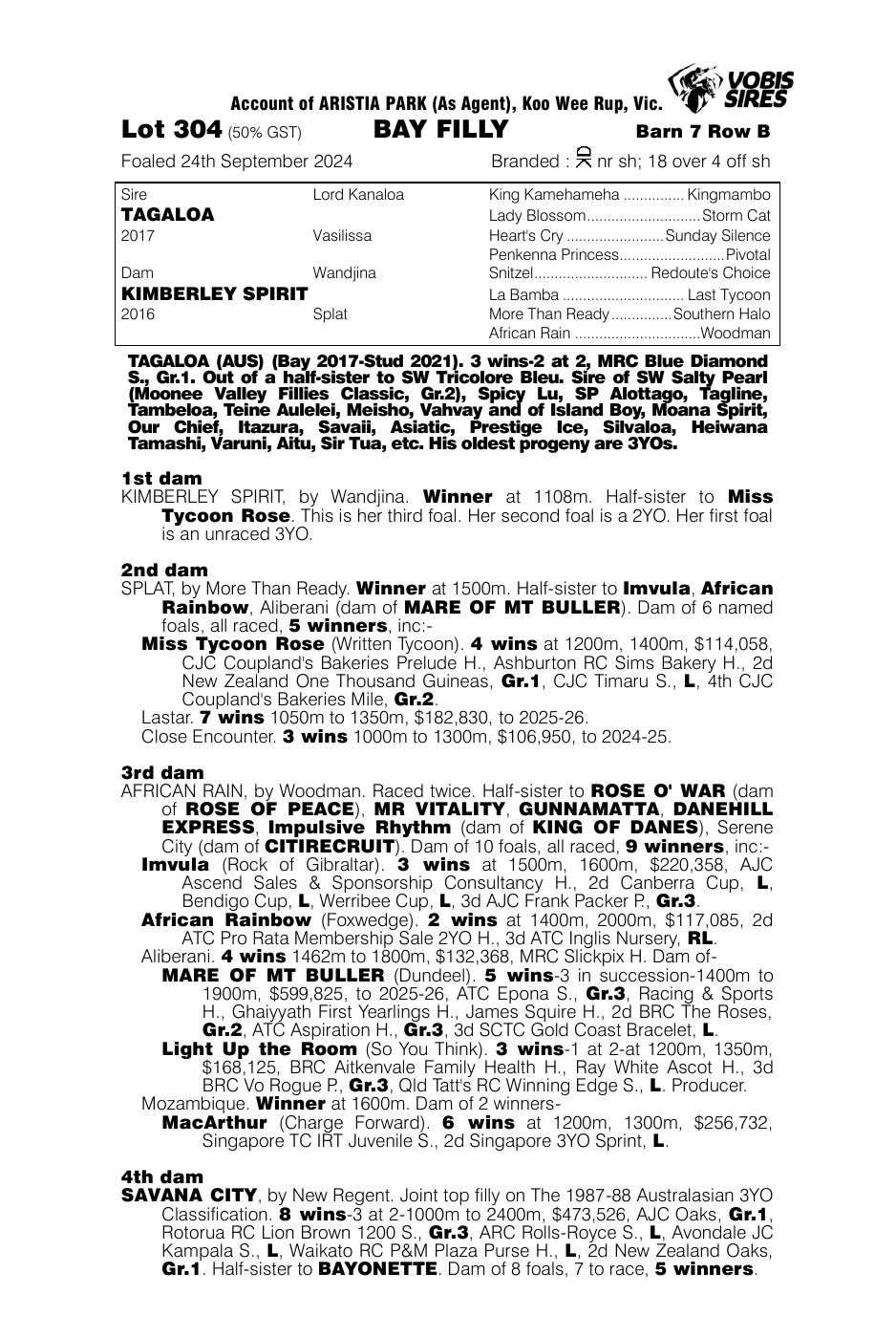 Pedigree - Lot 304