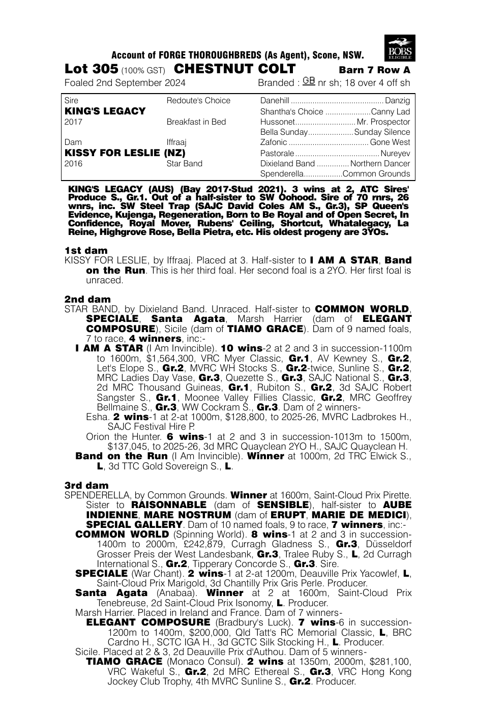 Pedigree - Lot 305