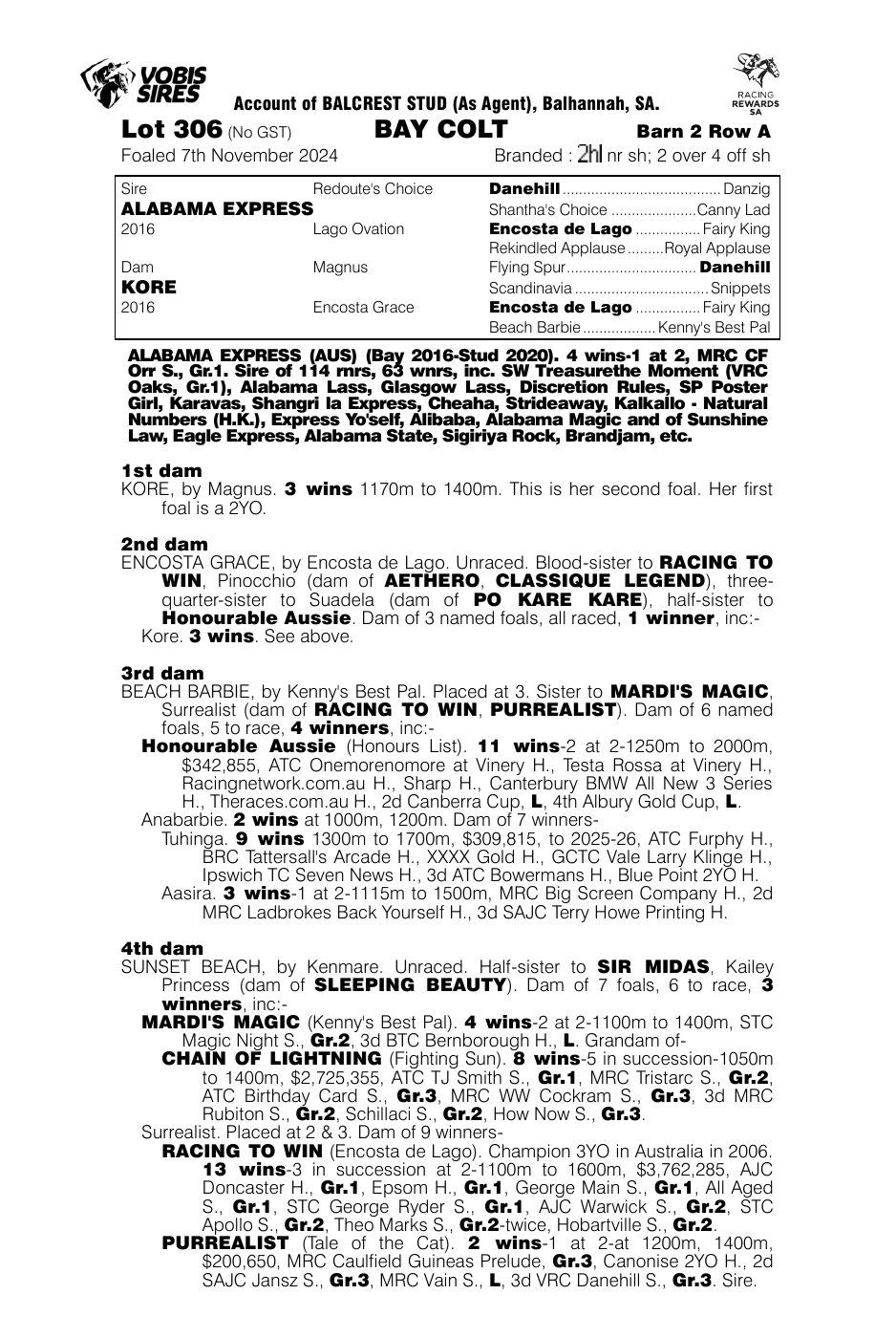 Pedigree - Lot 306