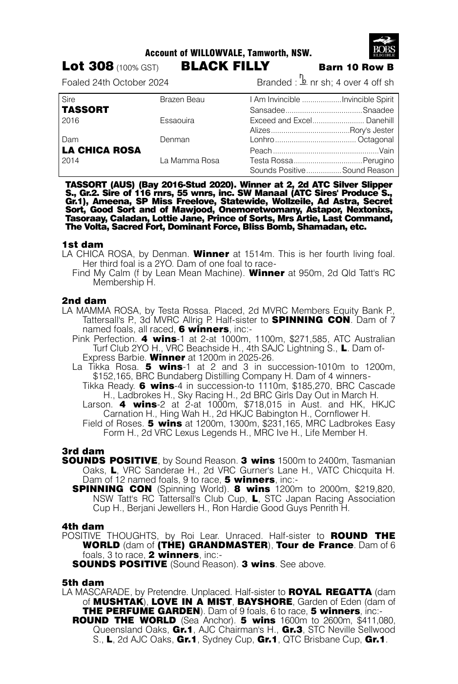 Pedigree - Lot 308