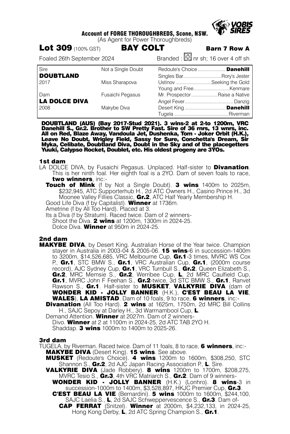 Pedigree - Lot 309