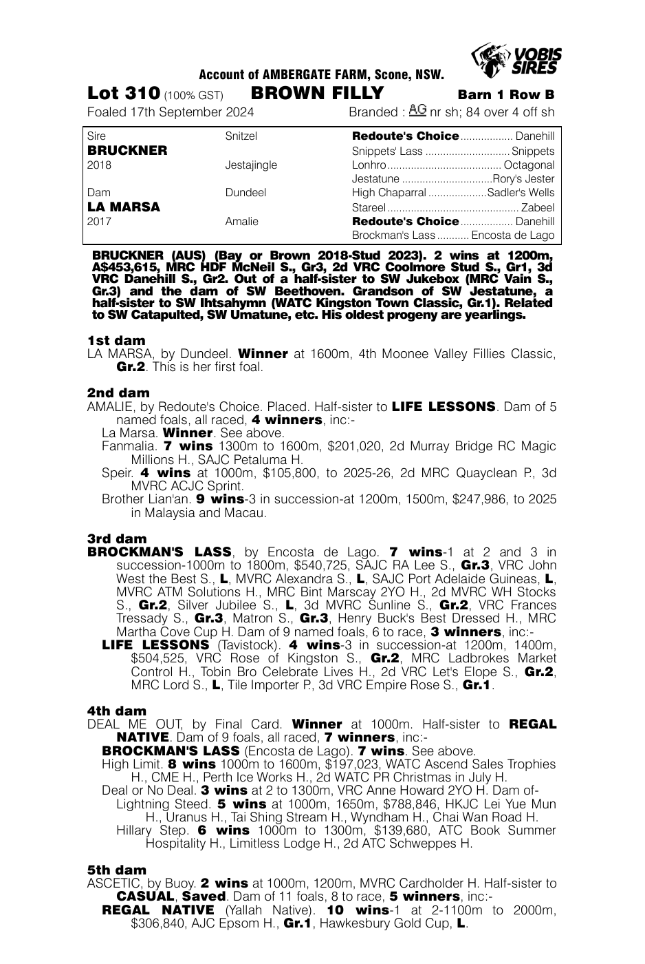 Pedigree - Lot 310