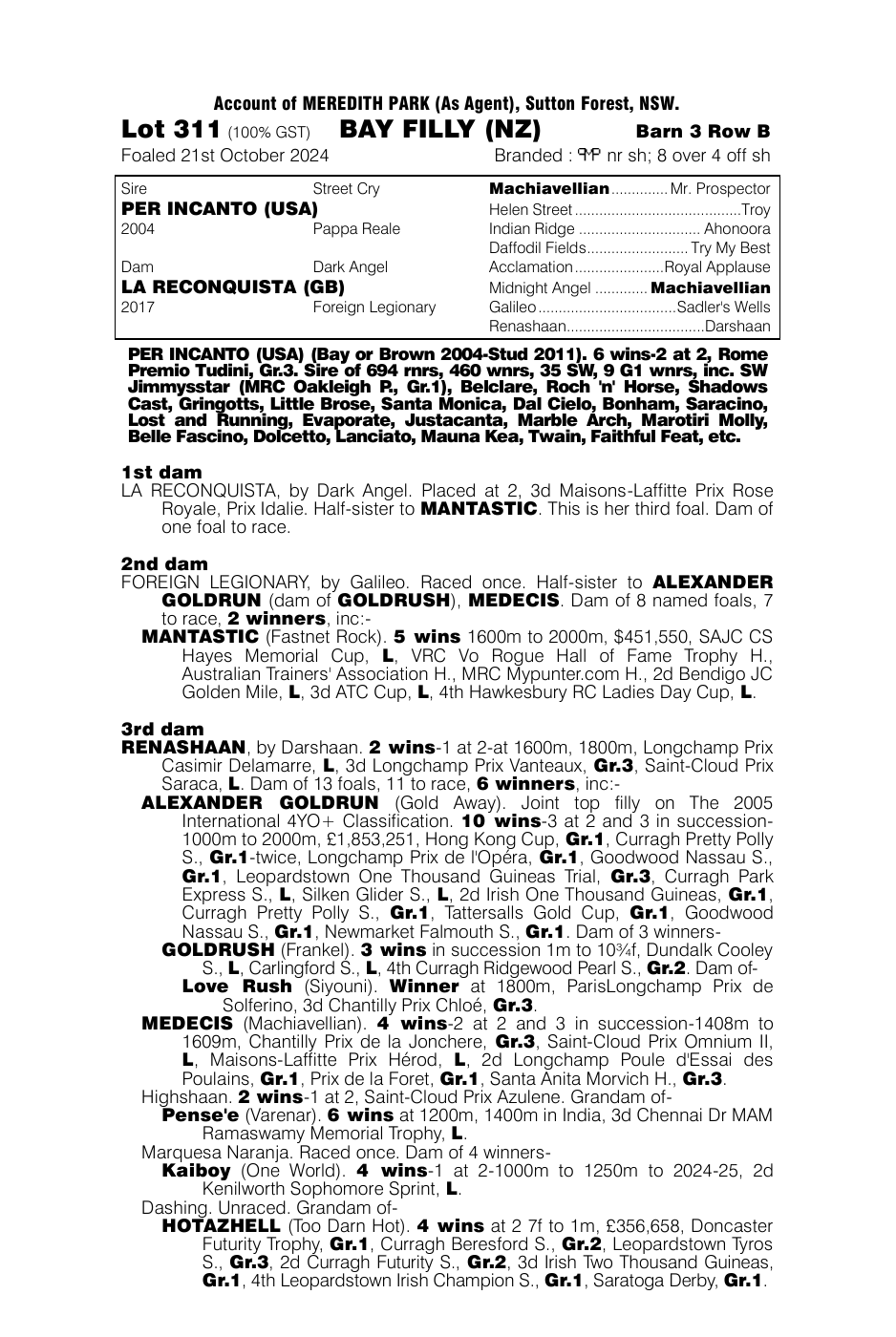 Pedigree - Lot 311