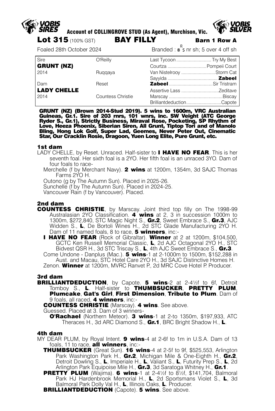 Pedigree - Lot 315