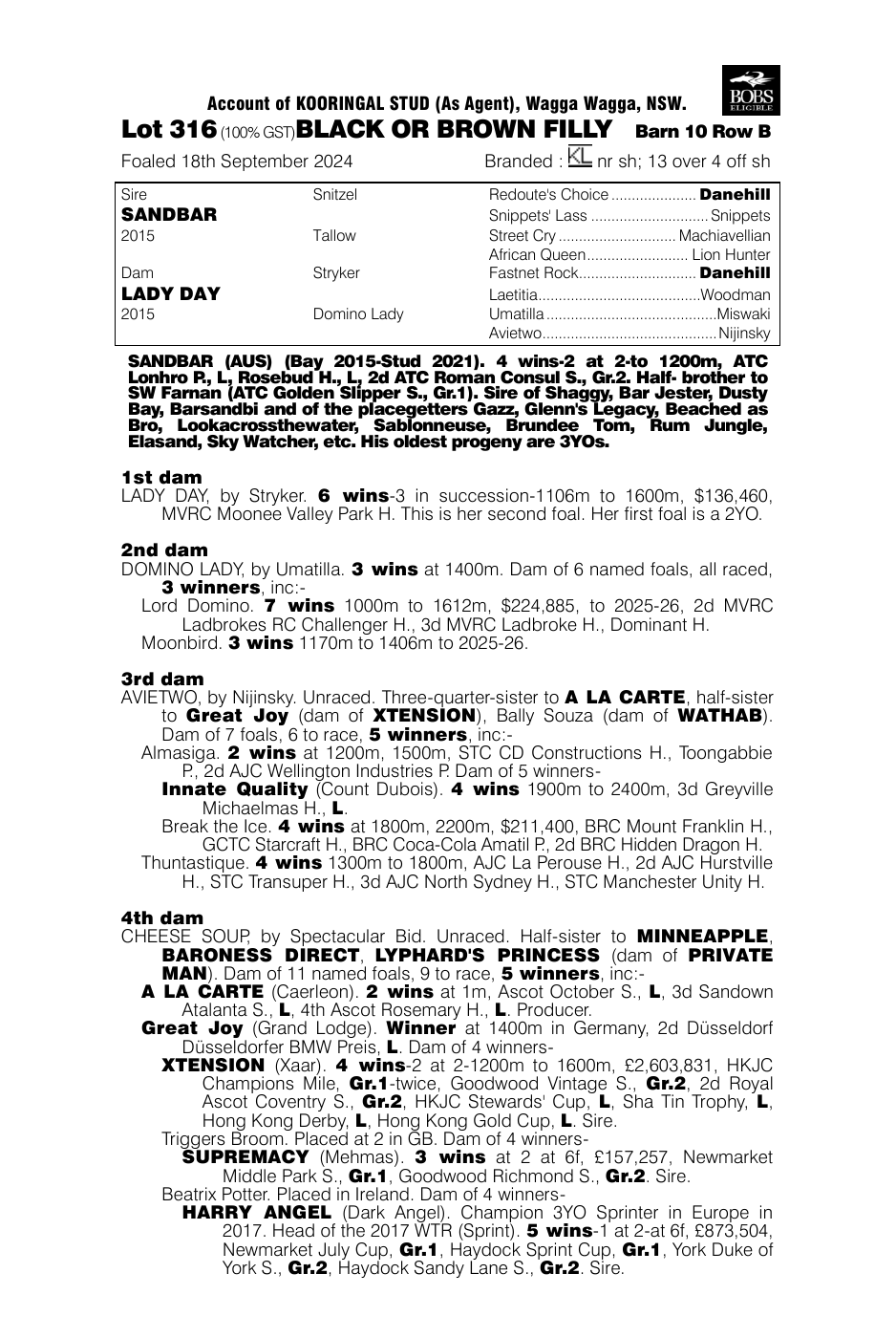 Pedigree - Lot 316