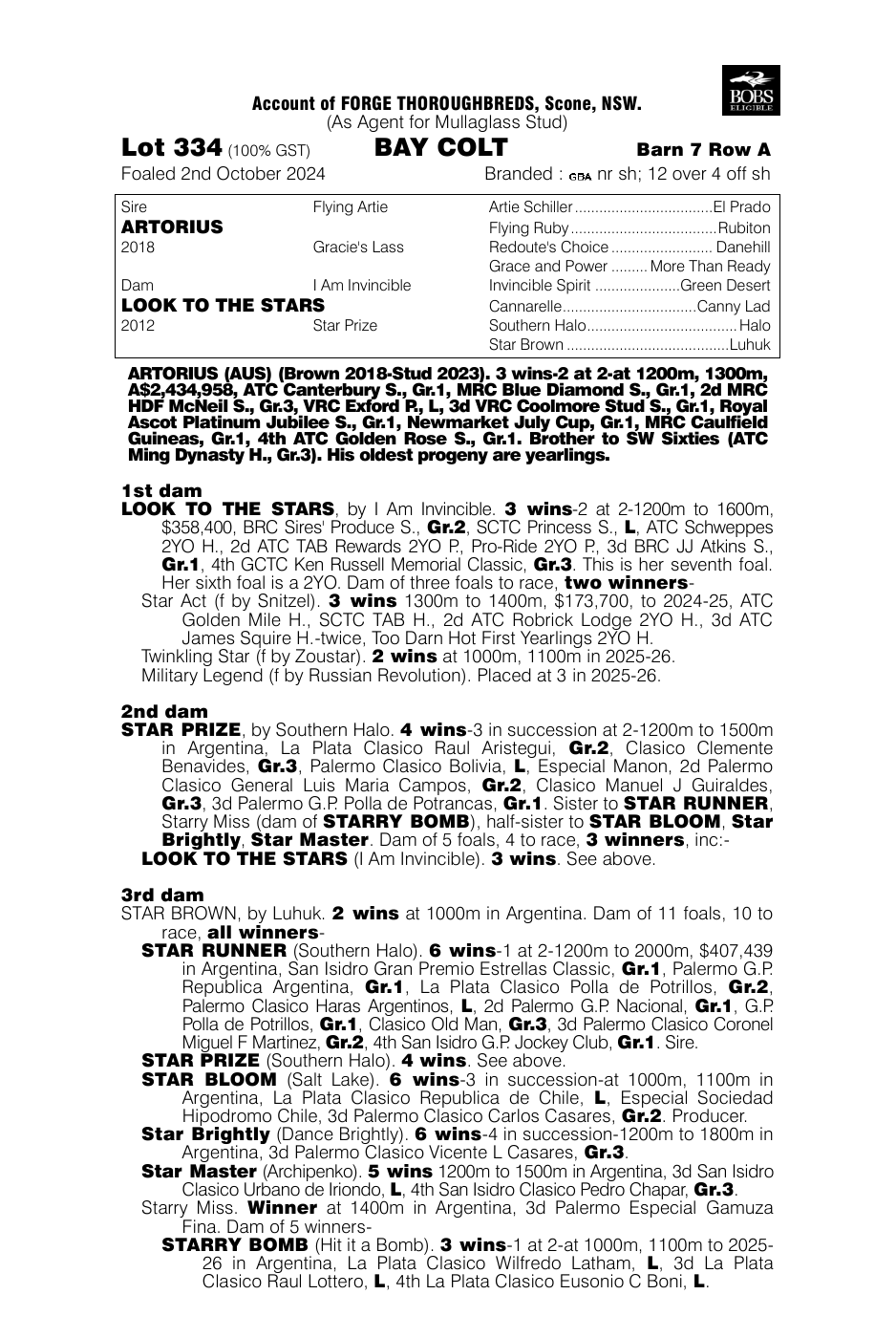 Pedigree - Lot 334