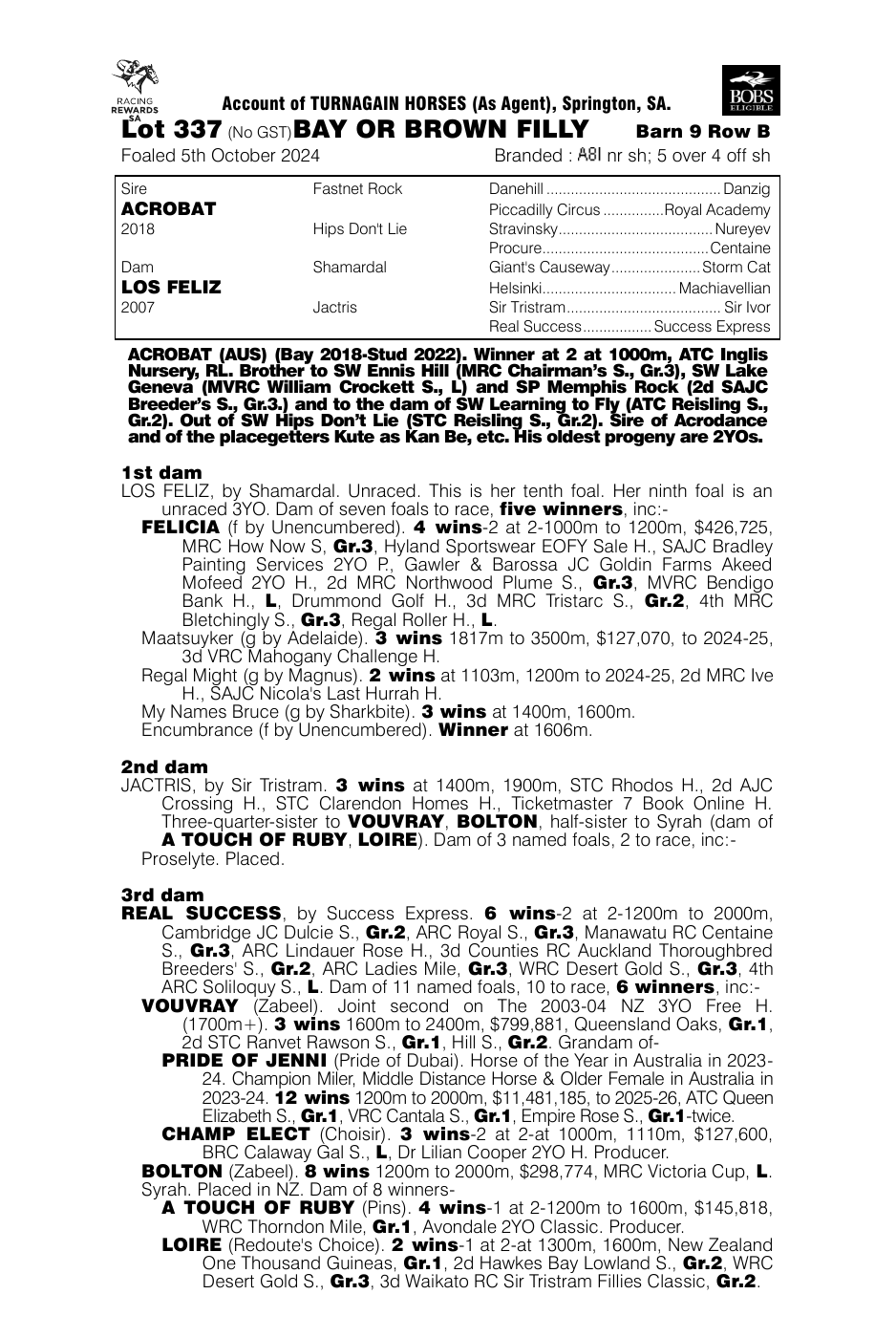 Pedigree - Lot 337