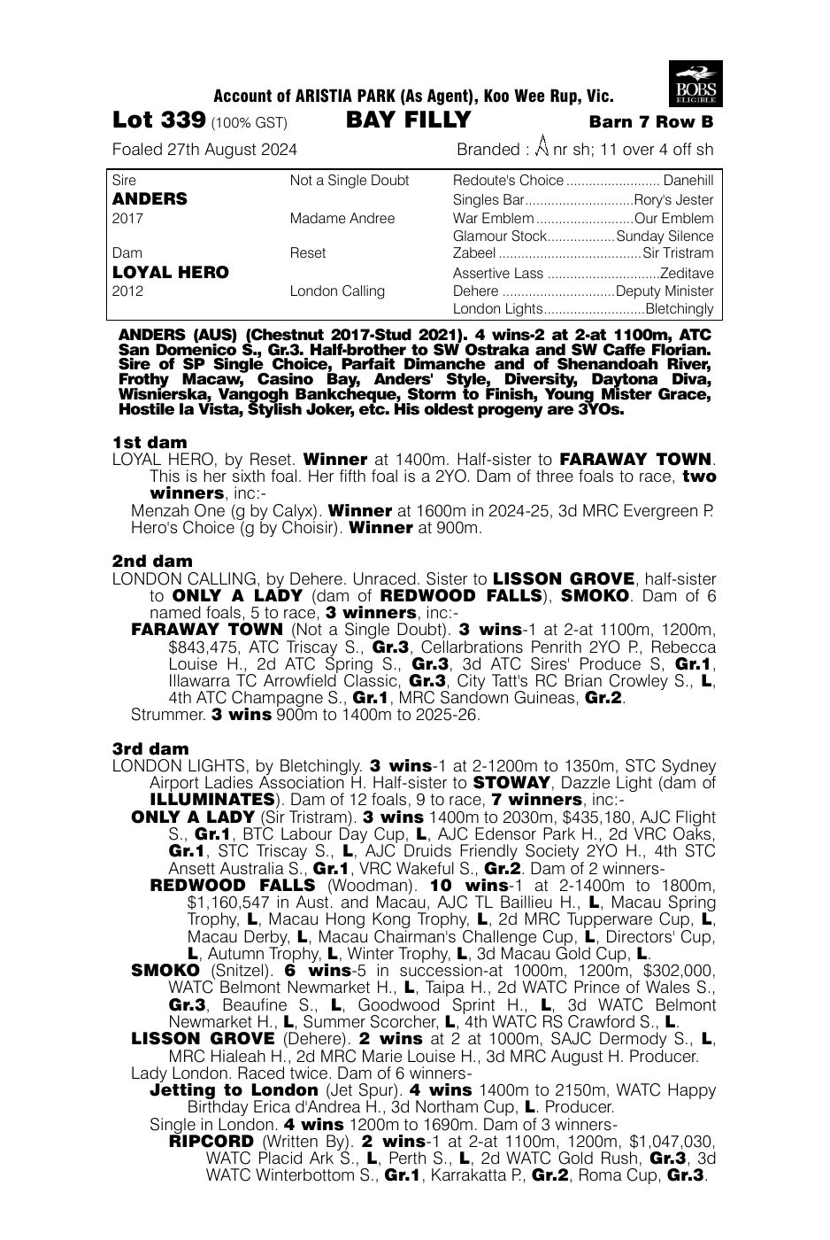 Pedigree - Lot 339