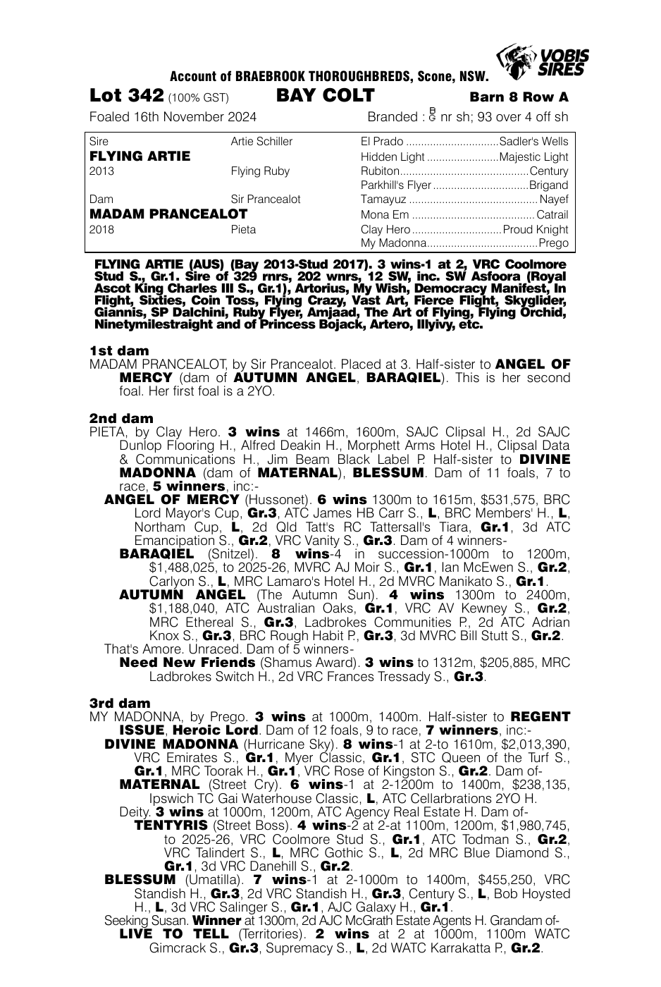 Pedigree - Lot 342