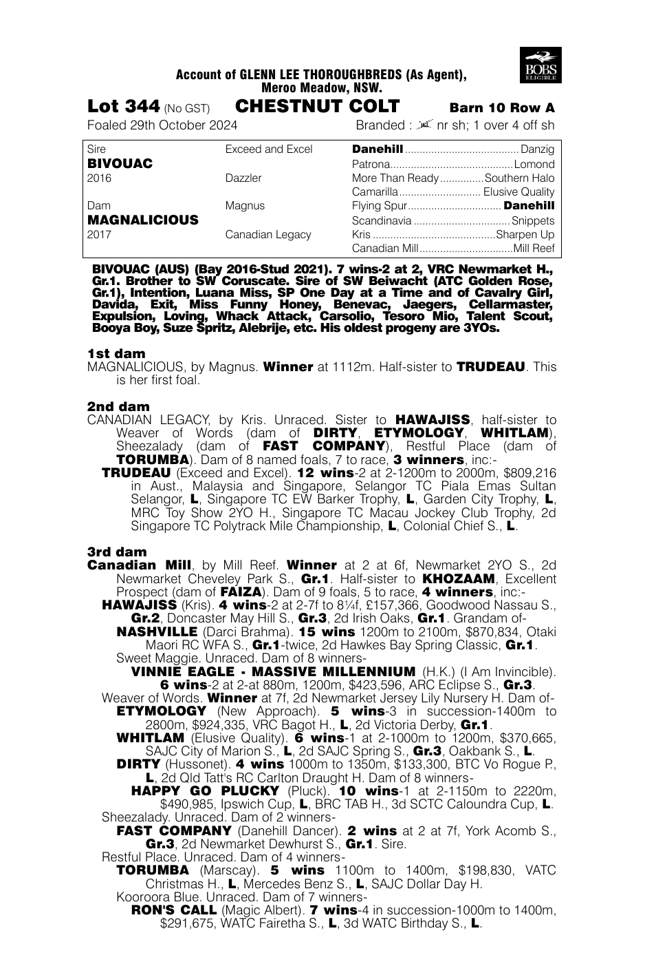 Pedigree - Lot 344