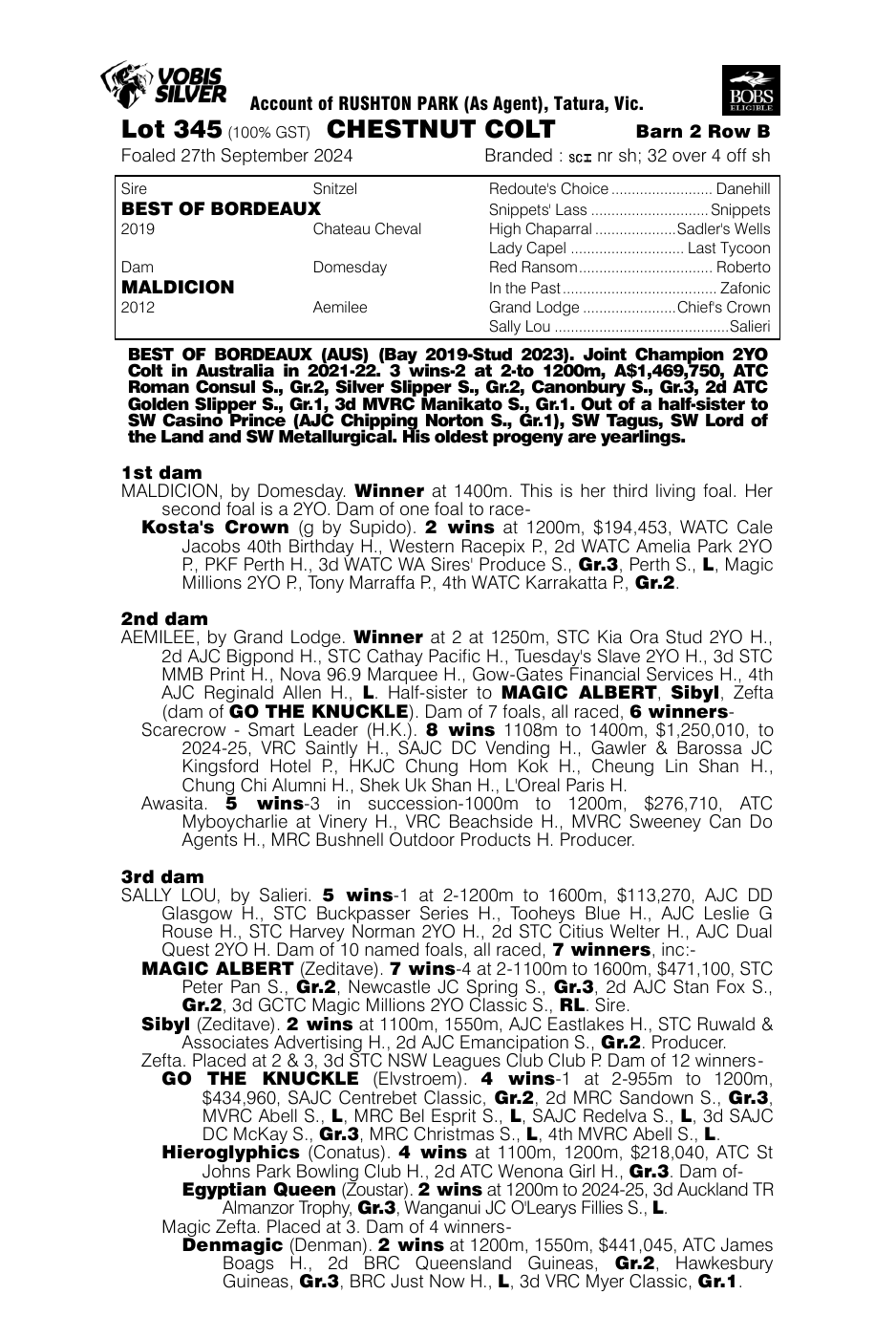 Pedigree - Lot 345