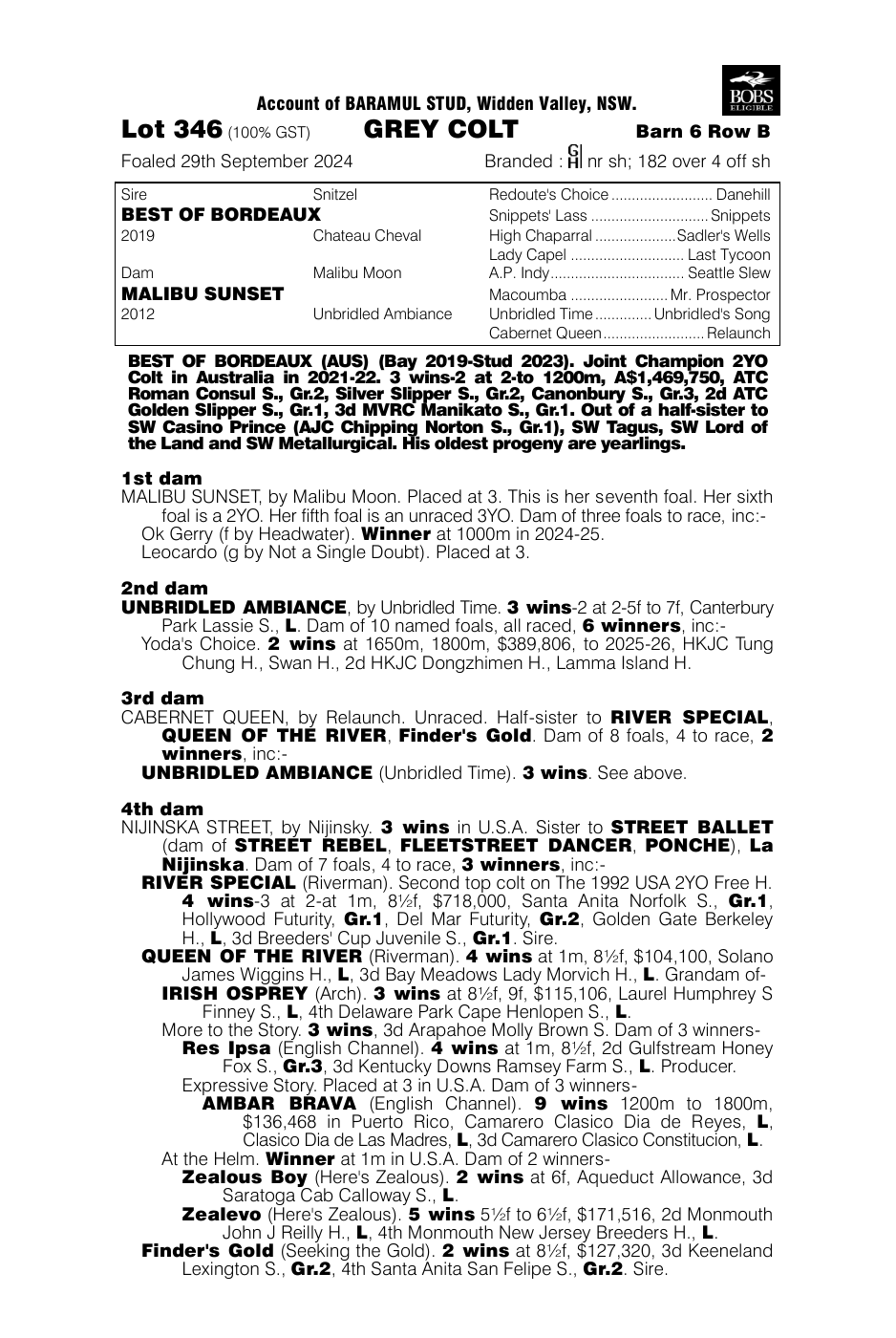 Pedigree - Lot 346