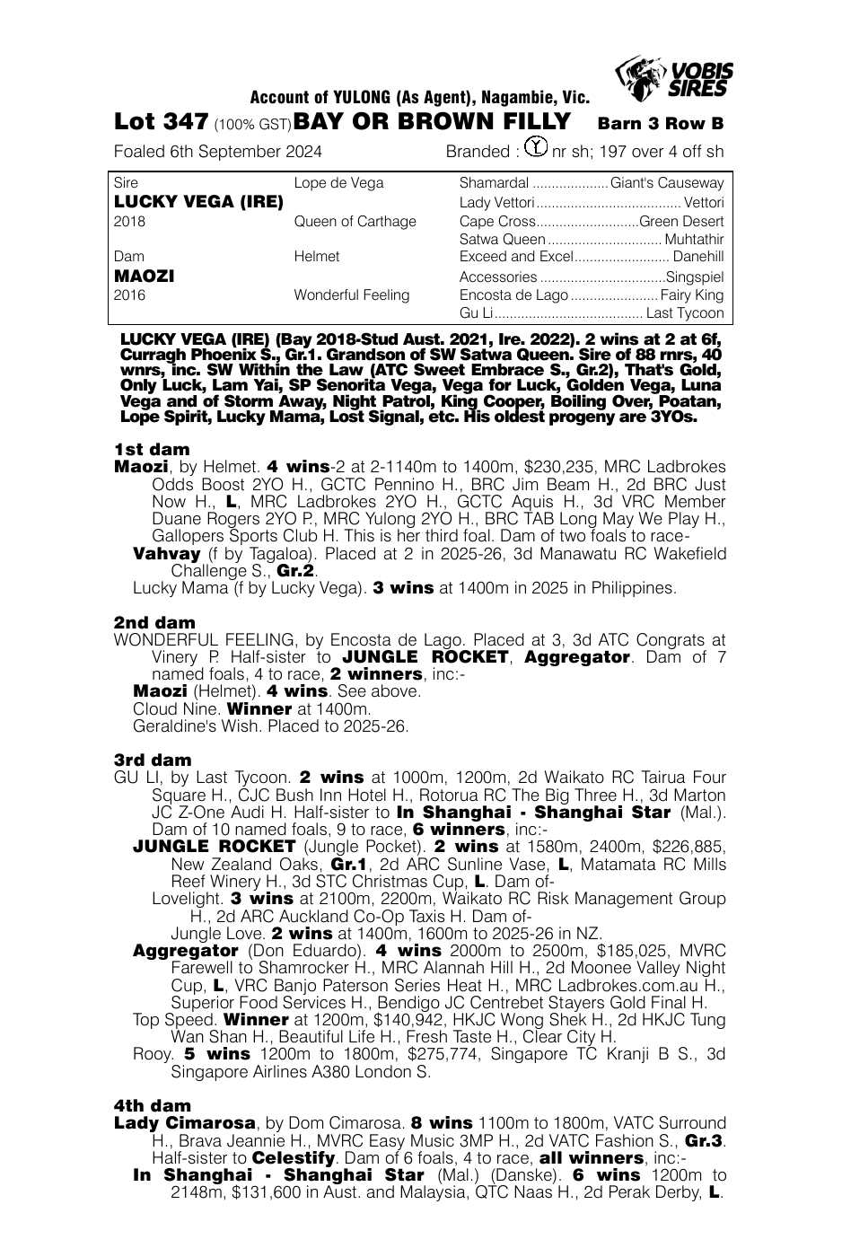 Pedigree - Lot 347