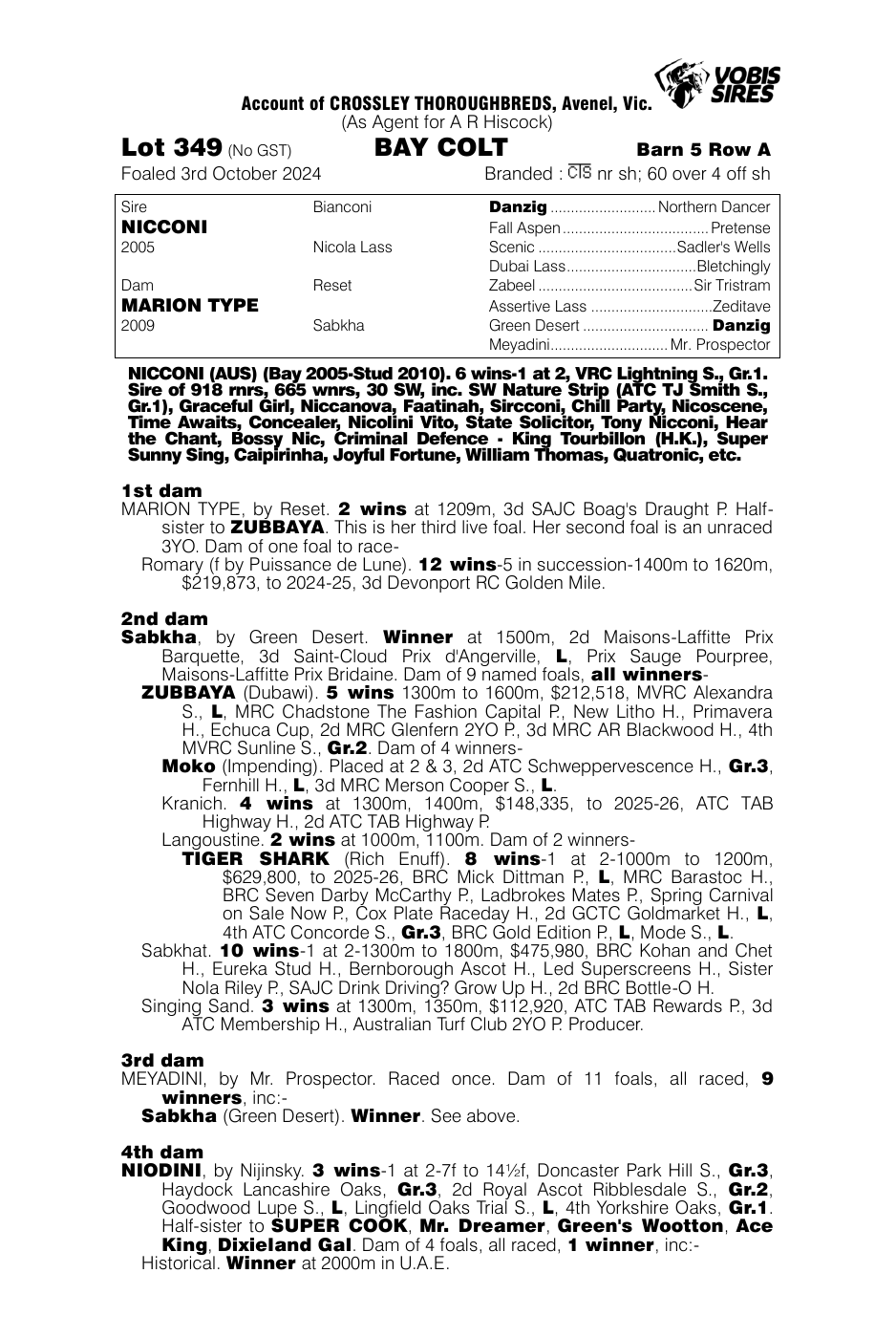 Pedigree - Lot 349