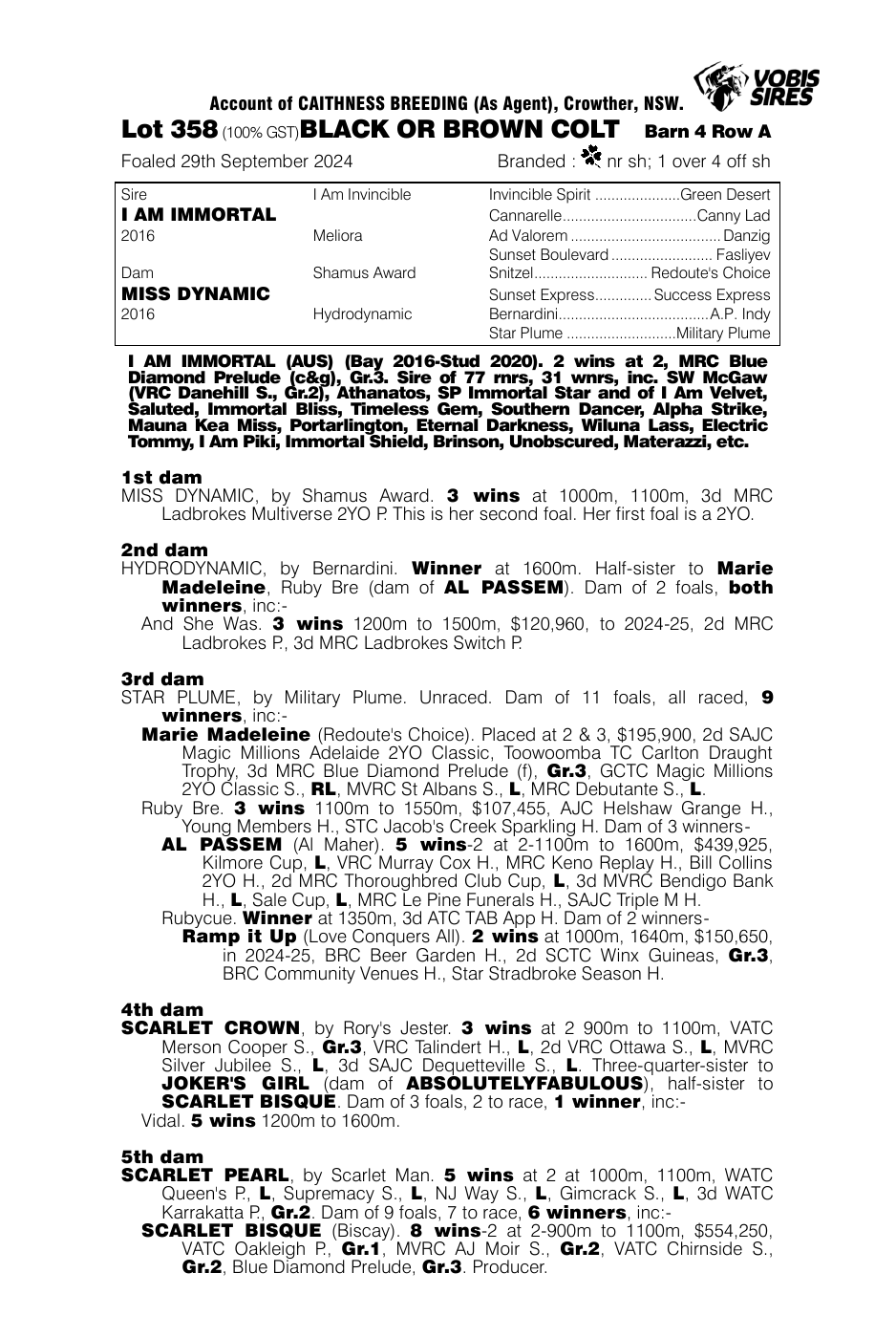 Pedigree - Lot 358