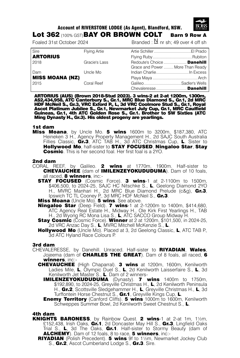 Pedigree - Lot 362