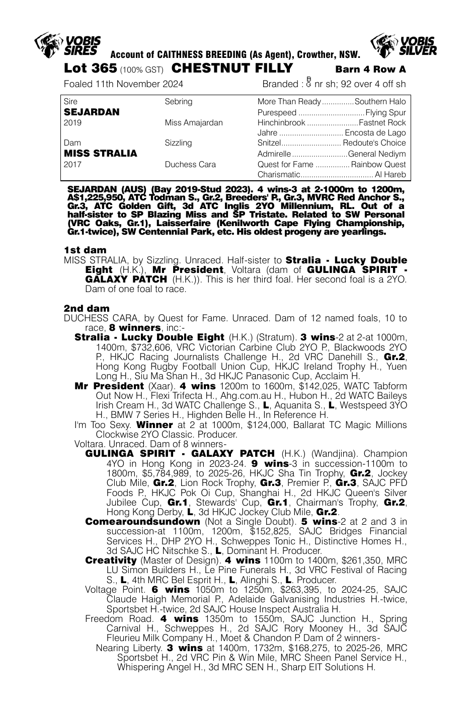 Pedigree - Lot 365