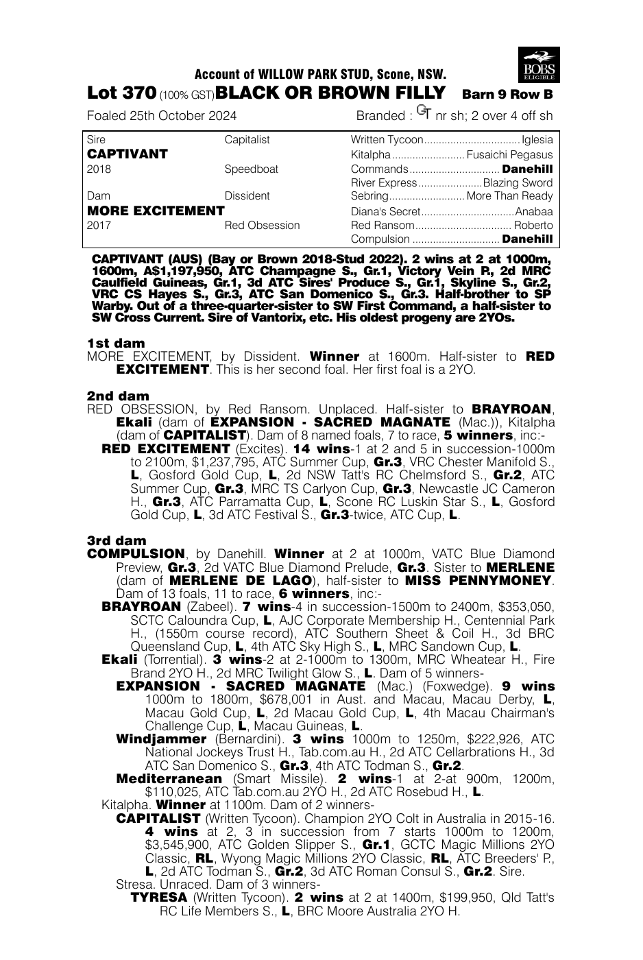 Pedigree - Lot 370