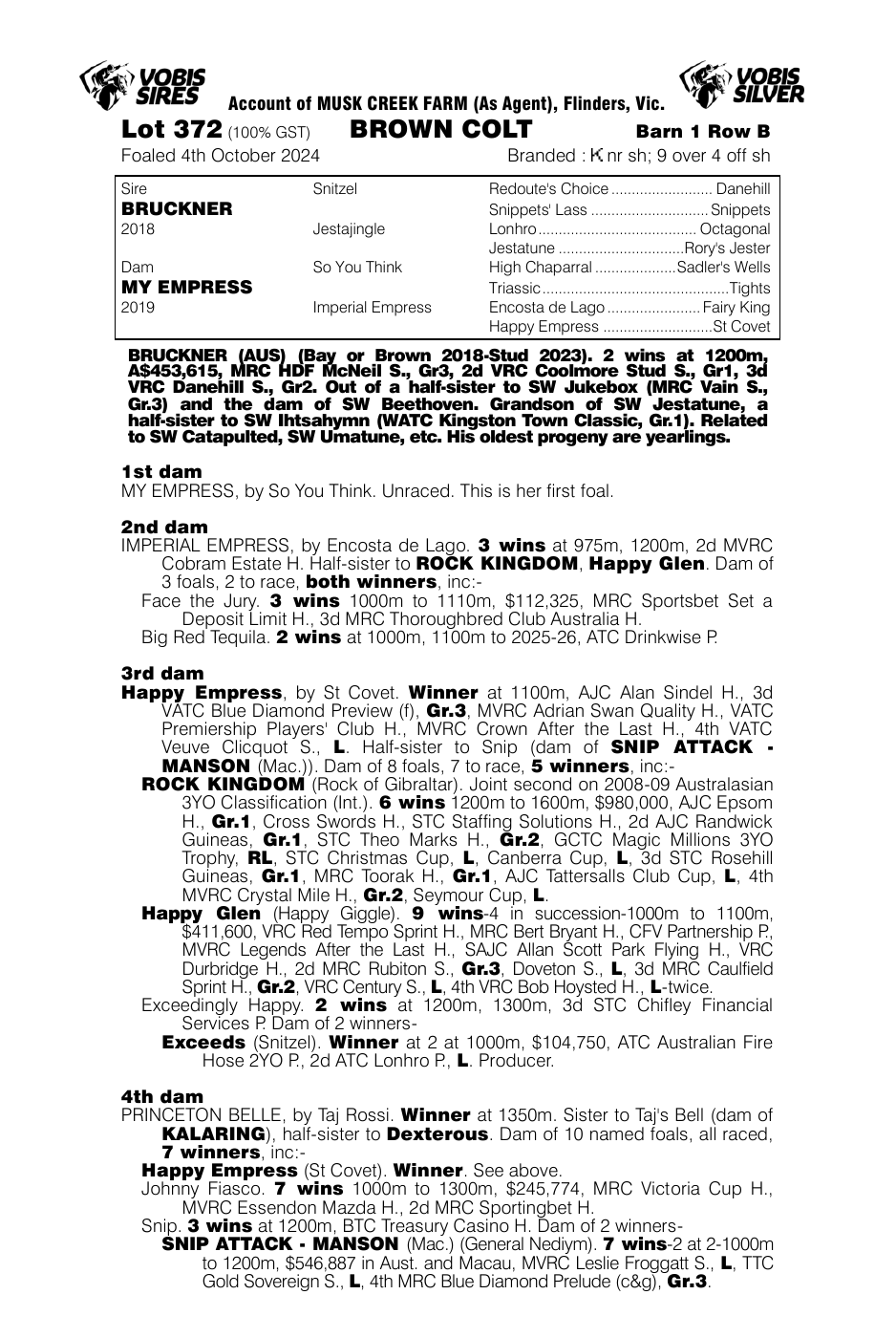 Pedigree - Lot 372