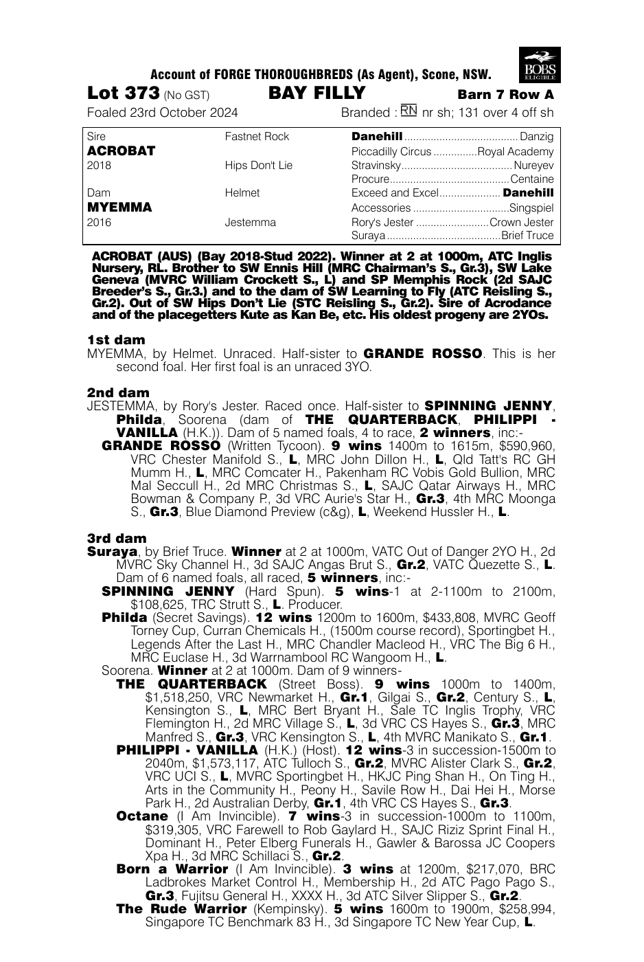 Pedigree - Lot 373
