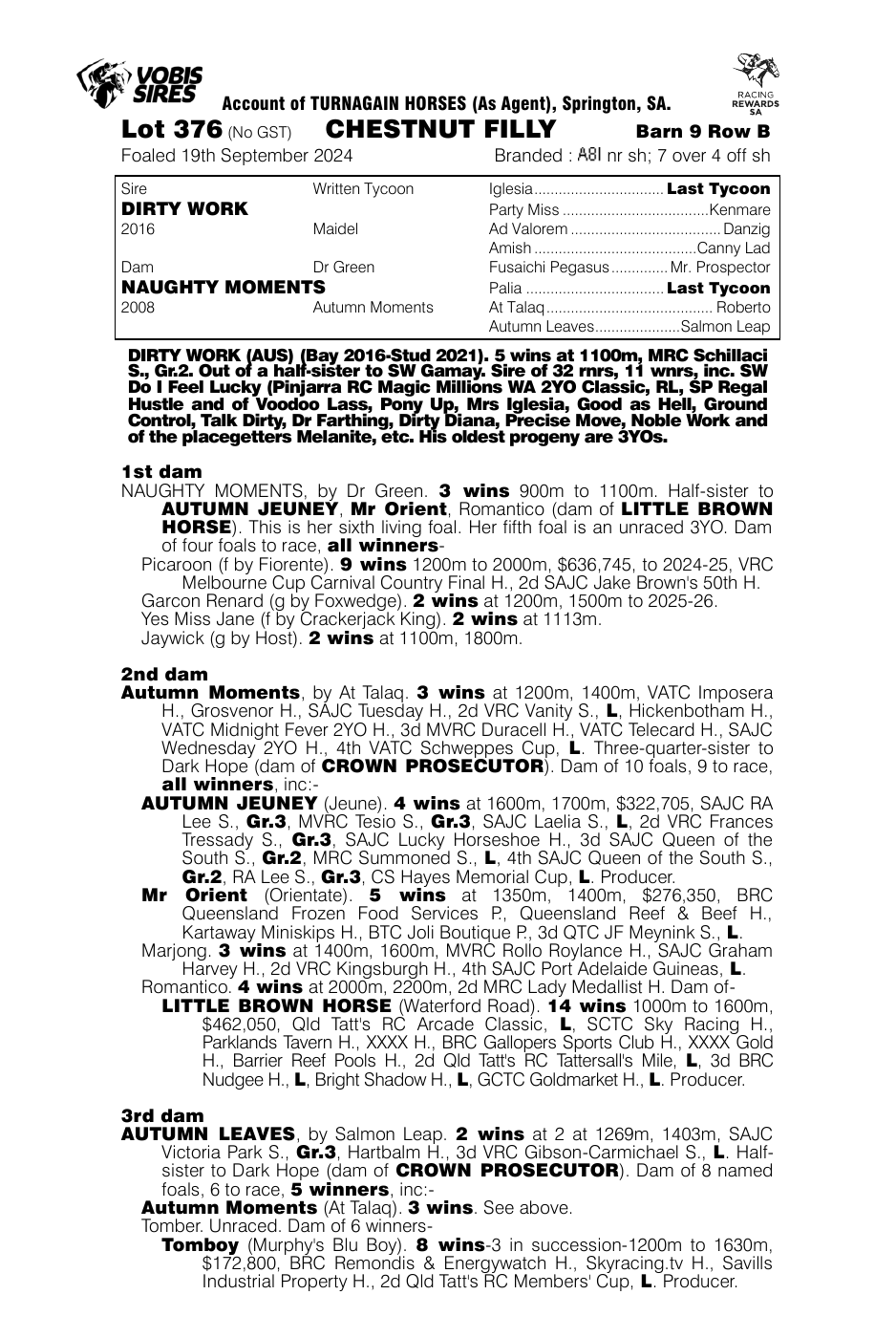 Pedigree - Lot 376
