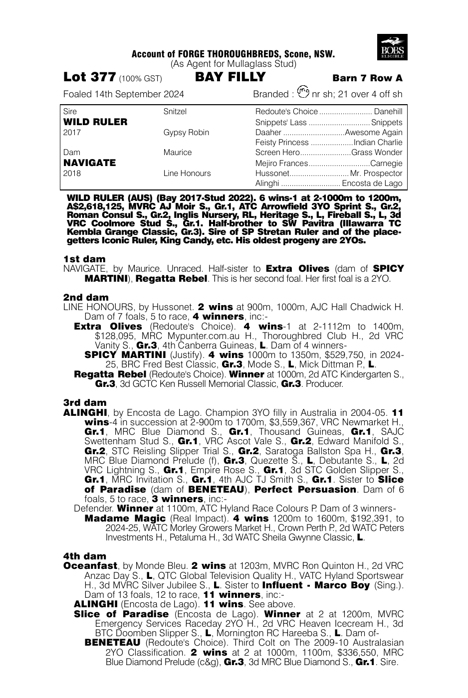 Pedigree - Lot 377