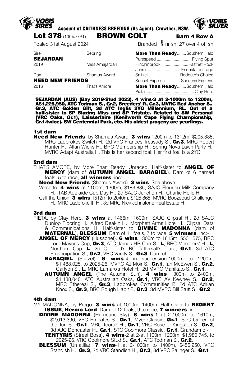 Pedigree - Lot 378