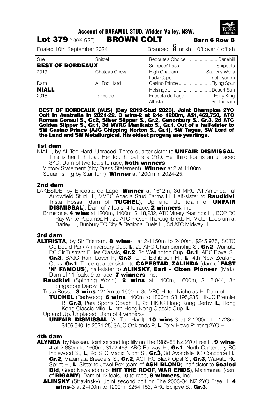 Pedigree - Lot 379