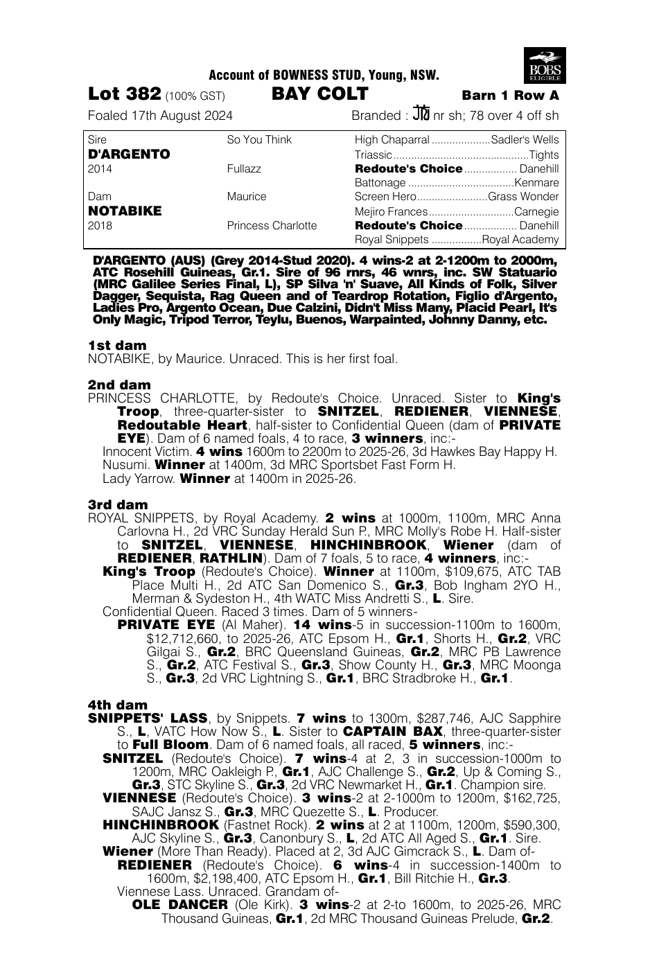 Pedigree - Lot 382
