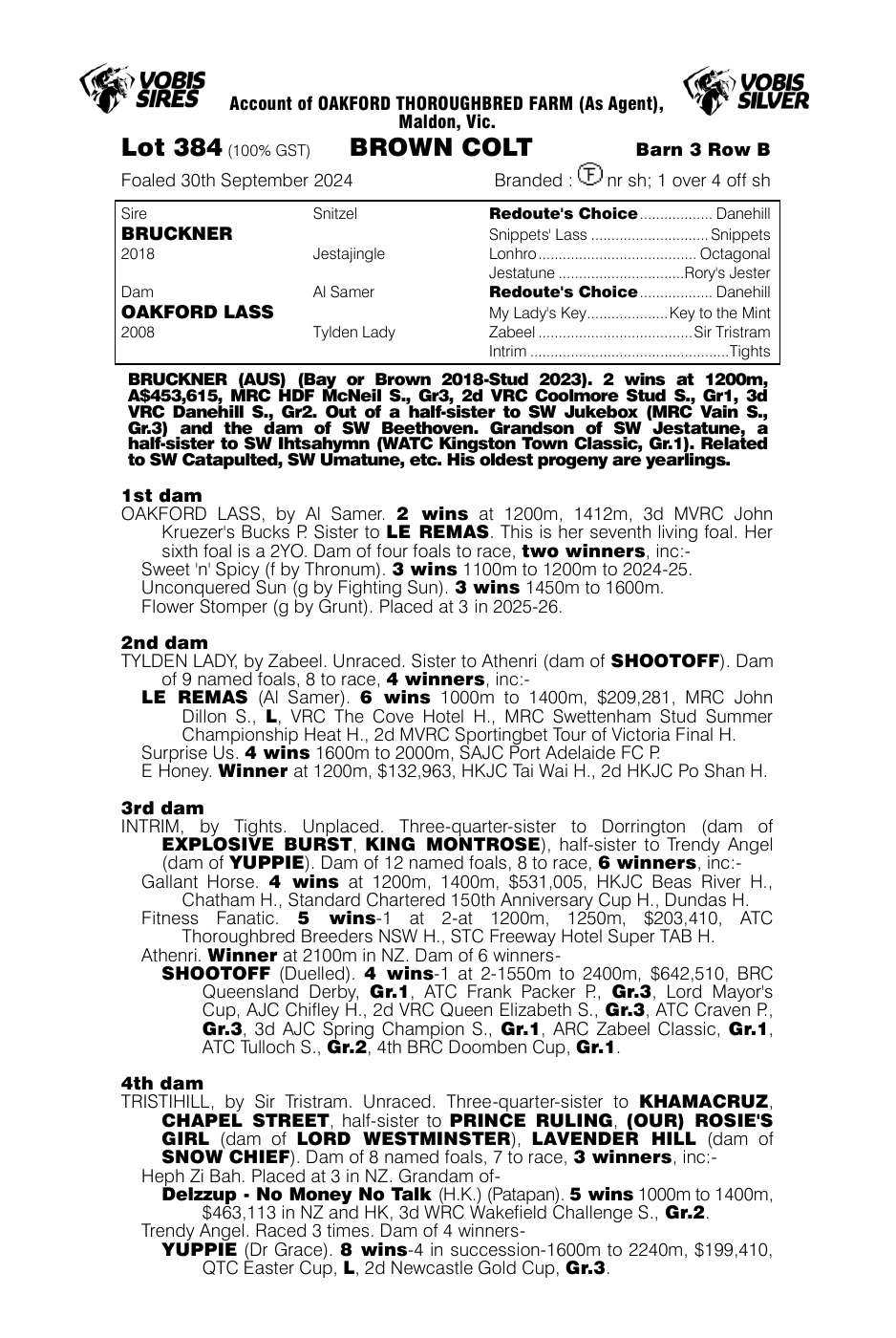 Pedigree - Lot 384