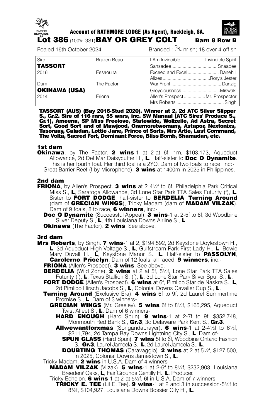 Pedigree - Lot 386