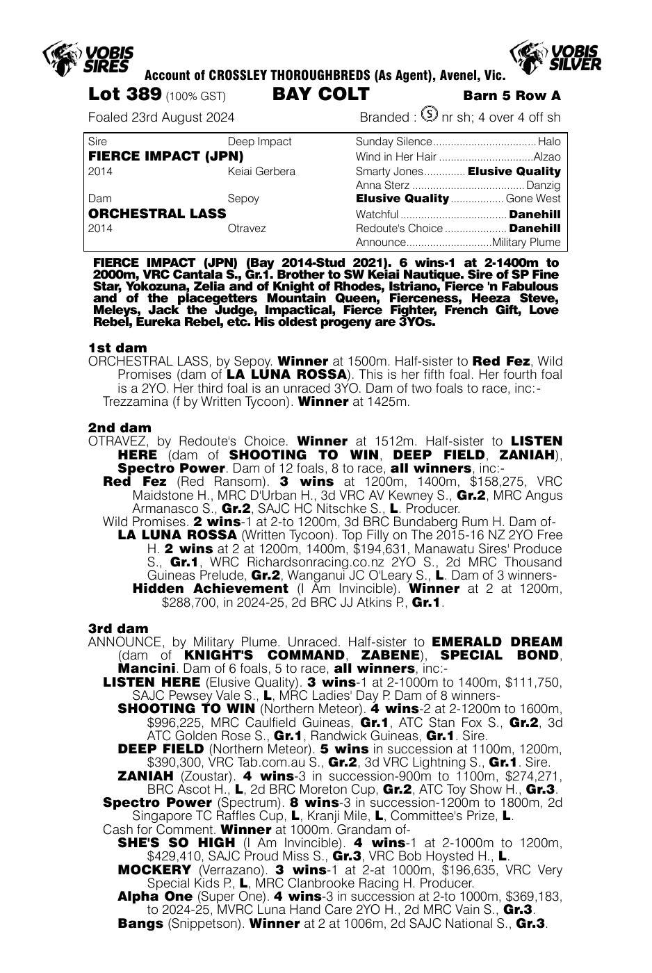 Pedigree - Lot 389