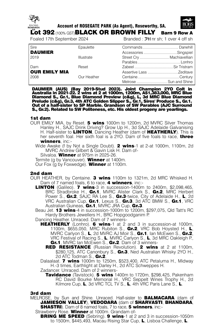 Pedigree - Lot 392