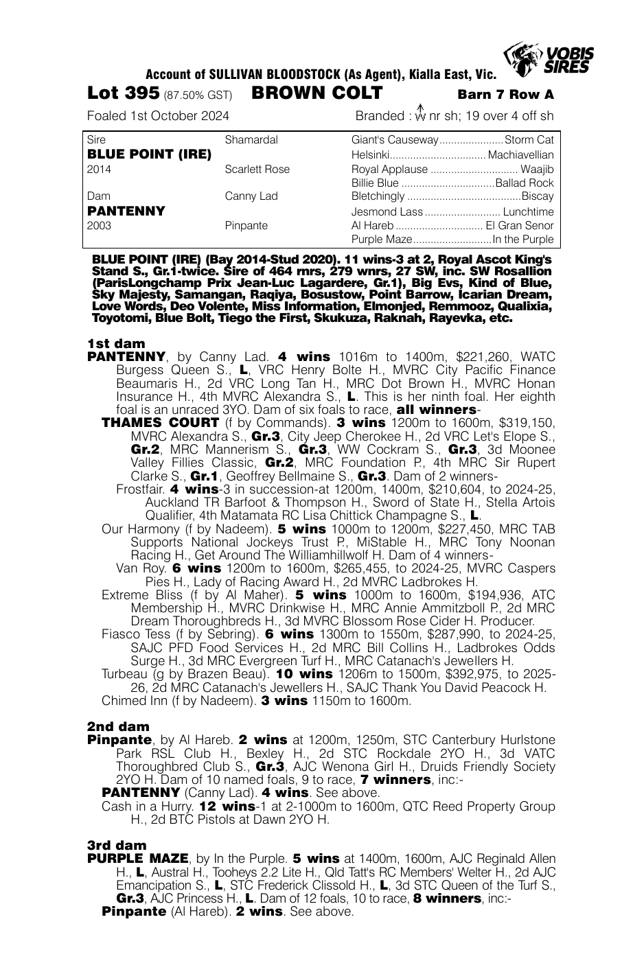 Pedigree - Lot 395