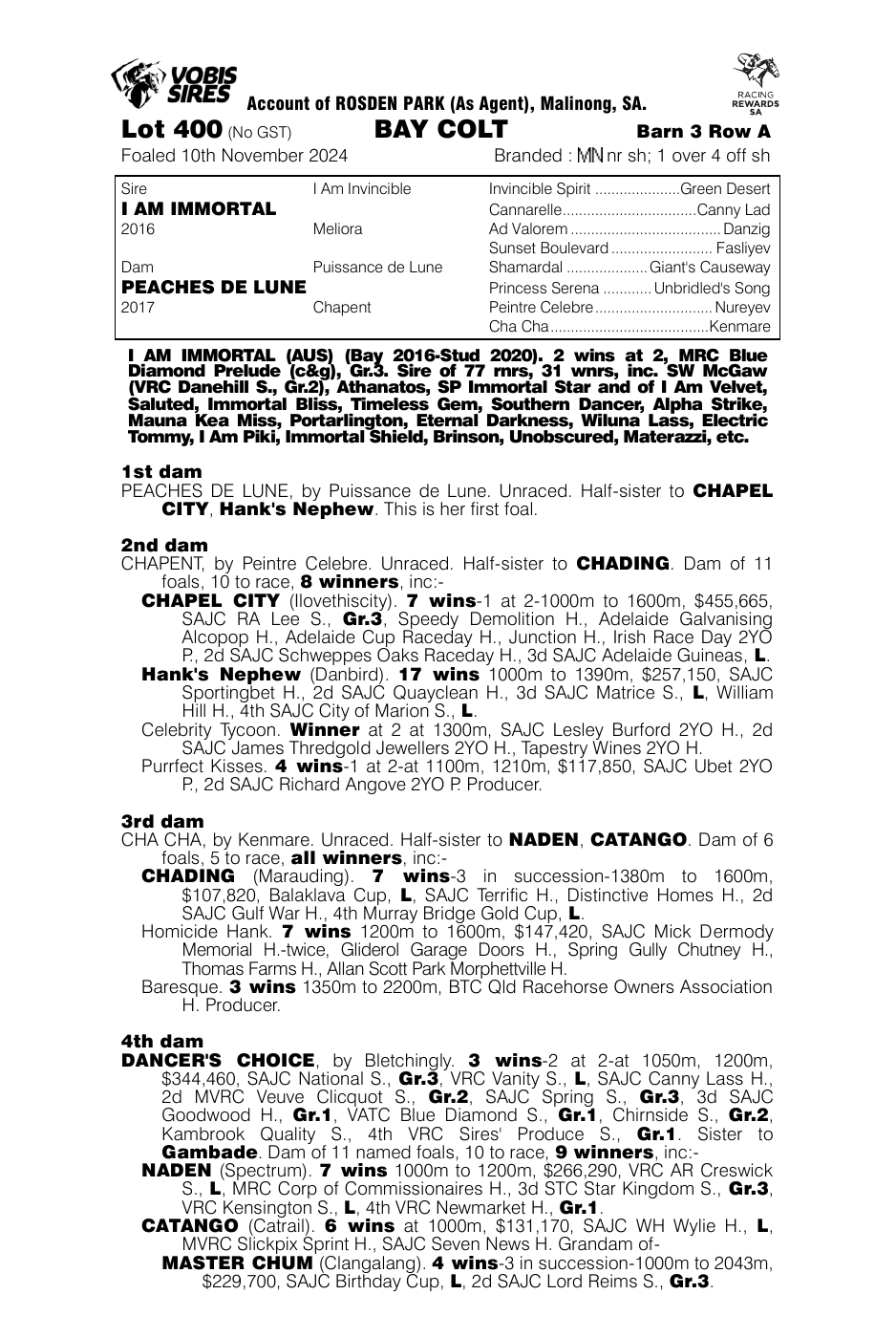 Pedigree - Lot 400